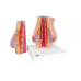 model kobiecych piersi ze zdrową i niezdrową tkanką - 3b smart anatomy kat. 1008497 l56 3b scientific modele anatomiczne 3